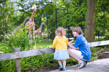 children watching giraffes at a zoo